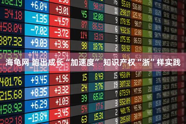 海龟网 跑出成长“加速度” 知识产权“浙”样实践